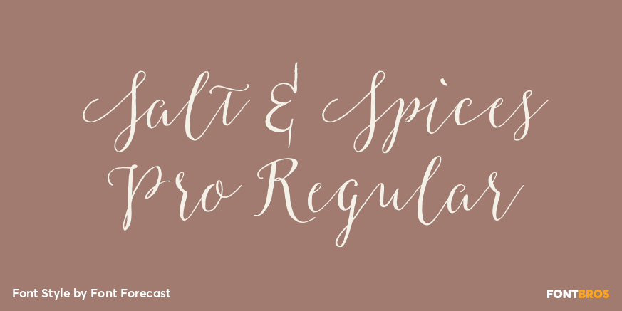 Salt & Spices Pro Regular Poster