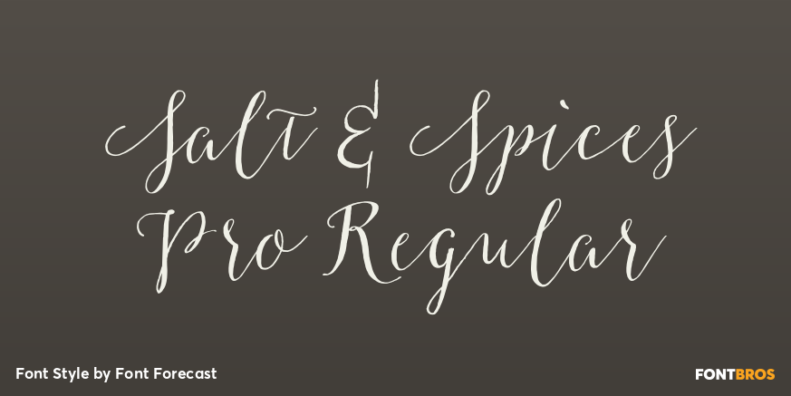 Salt & Spices Pro Regular Poster
