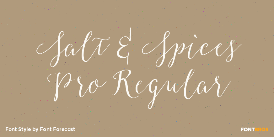 Salt & Spices Pro Regular Poster