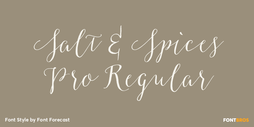 Salt & Spices Pro Regular Poster