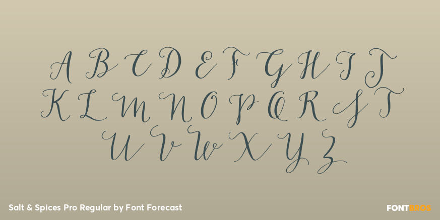 Salt & Spices Pro Regular Font Poster #1