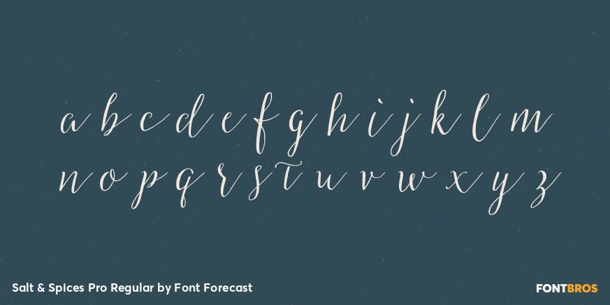 Salt & Spices Pro Regular Font Poster #1