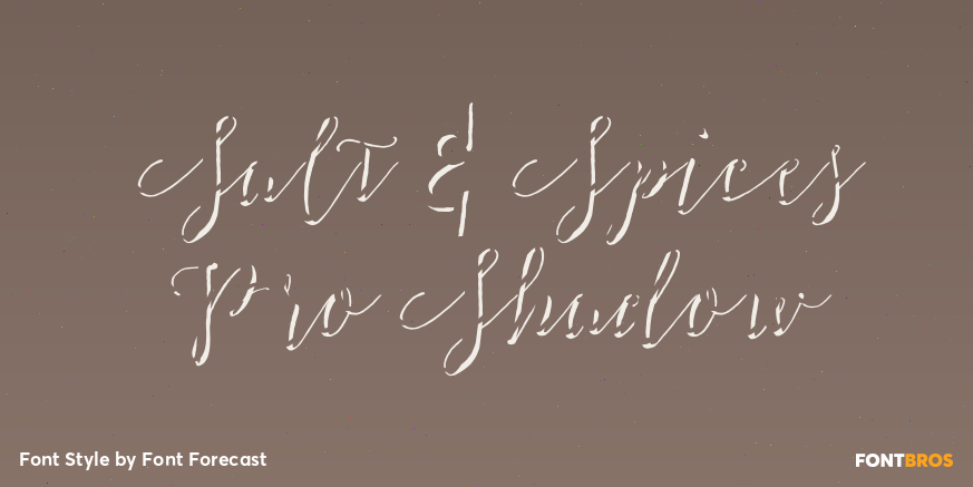 Salt & Spices Pro Shadow Poster