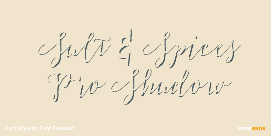 Salt & Spices Pro Shadow Poster