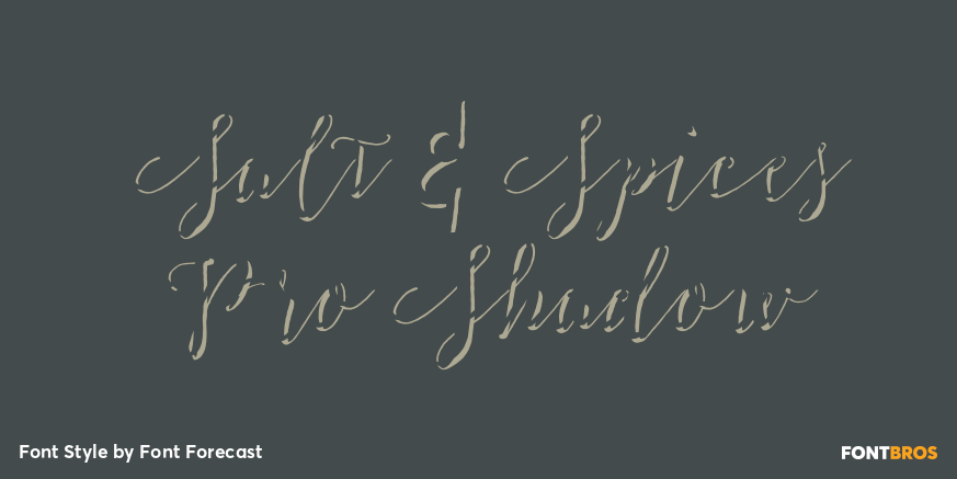 Salt & Spices Pro Shadow Poster