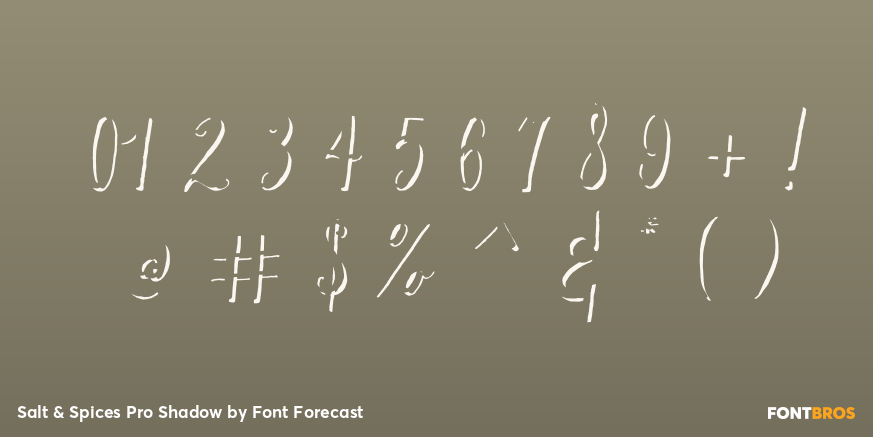 Salt & Spices Pro Shadow Font Poster #1