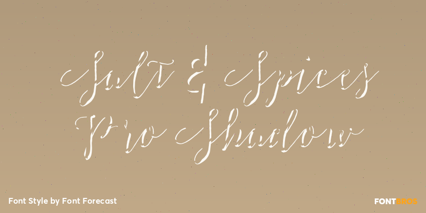 Salt & Spices Pro Shadow Poster