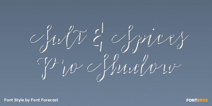 Salt & Spices Pro Shadow Poster