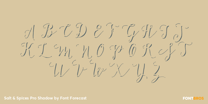 Salt & Spices Pro Shadow Font Poster #2