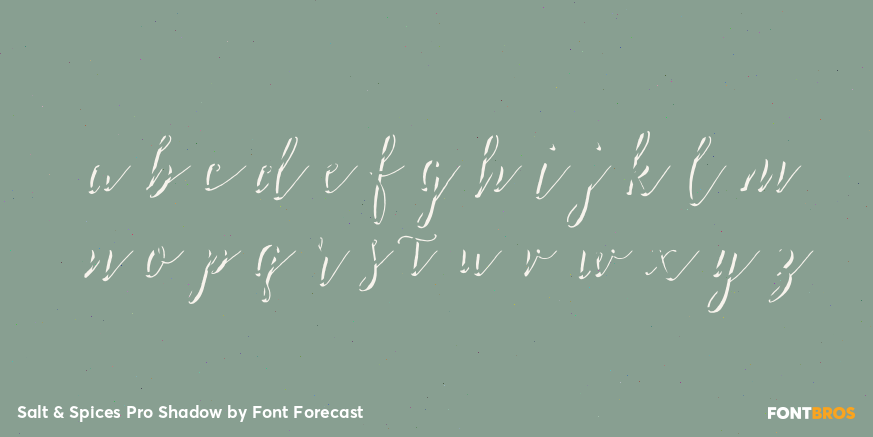 Salt & Spices Pro Shadow Font Poster #3