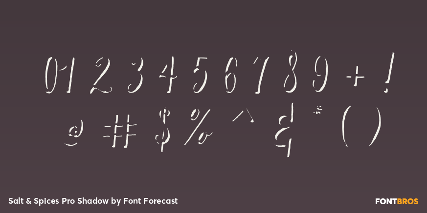 Salt & Spices Pro Shadow Font Poster #4