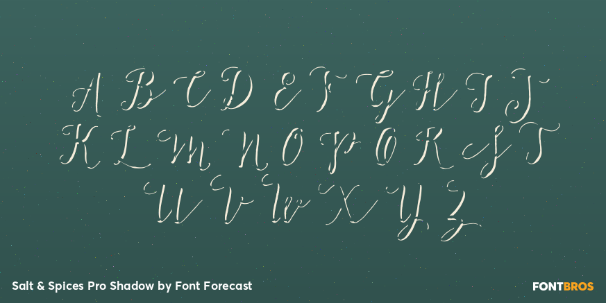 Salt & Spices Pro Shadow Font Poster #1
