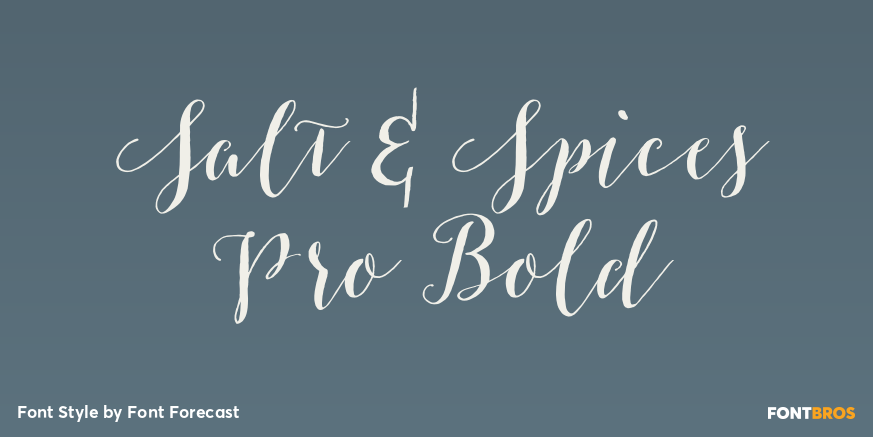 Salt & Spices Pro Bold Poster
