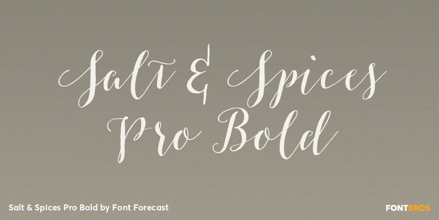 Salt & Spices Pro Bold Poster