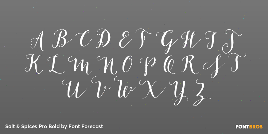 Salt & Spices Pro Bold Font Poster #1