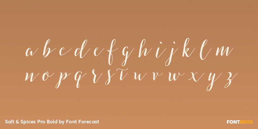 Salt & Spices Pro Bold Font Poster #1
