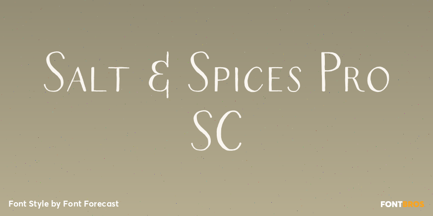 Salt & Spices Pro SC Poster
