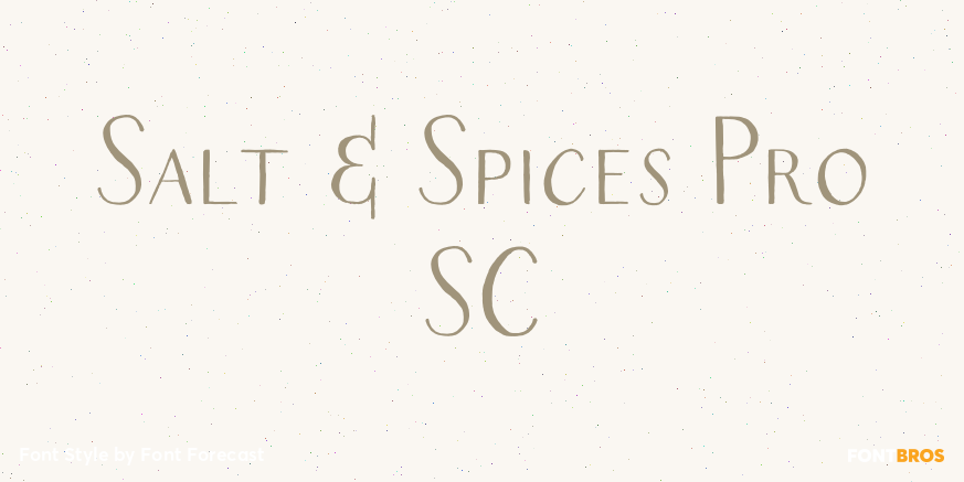 Salt & Spices Pro SC Poster
