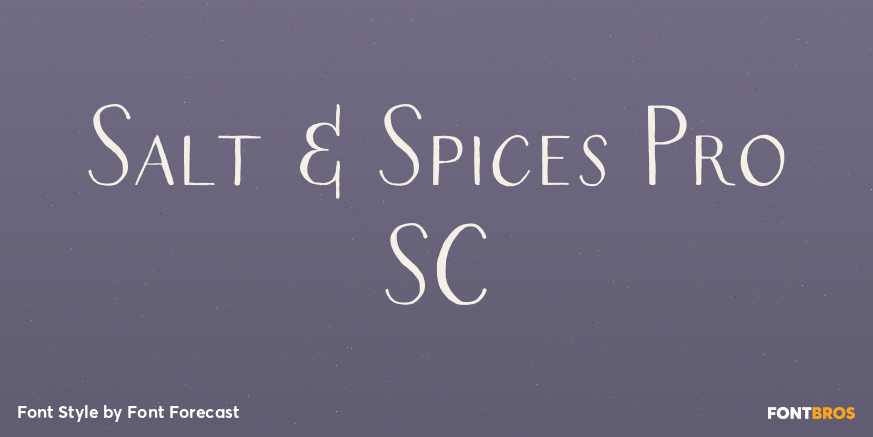 Salt & Spices Pro SC Poster