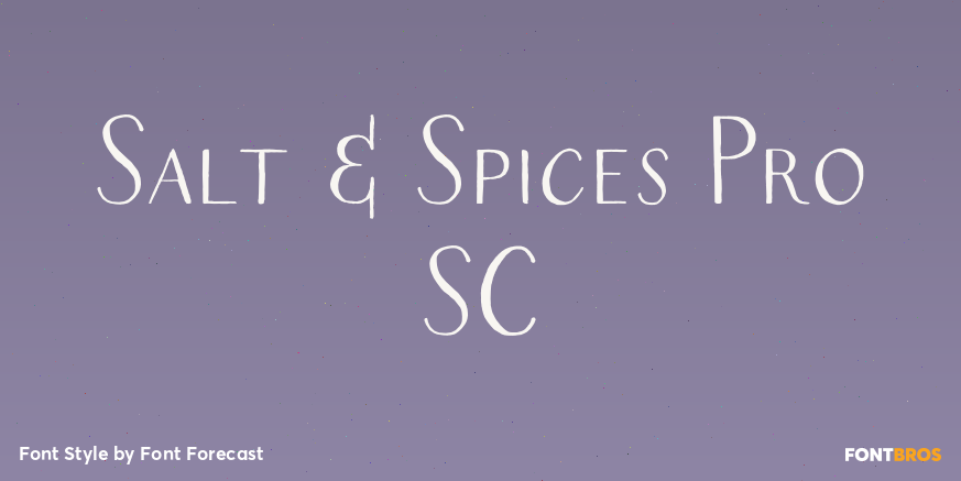 Salt & Spices Pro SC Poster