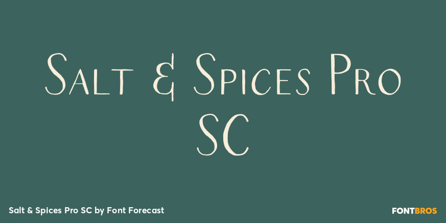 Salt & Spices Pro SC Poster