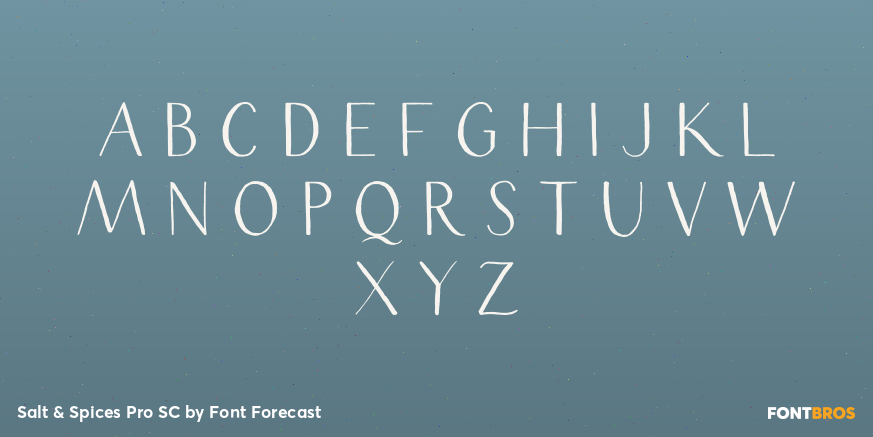 Salt & Spices Pro SC Font Poster #1