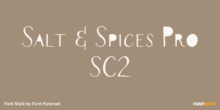 Salt & Spices Pro SC2 Poster