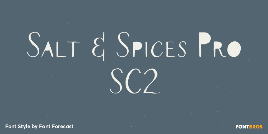 Salt & Spices Pro SC2 Poster