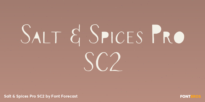 Salt & Spices Pro SC2 Poster