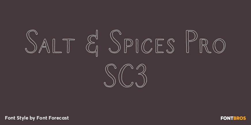 Salt & Spices Pro SC3 Poster
