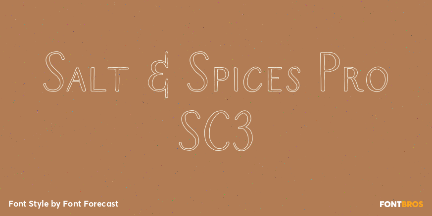 Salt & Spices Pro SC3 Poster