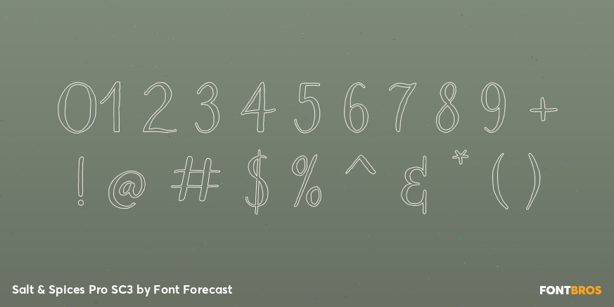 Salt & Spices Pro SC3 Font Poster #1