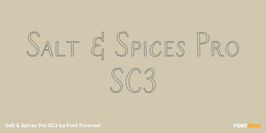 Salt & Spices Pro SC3 Poster