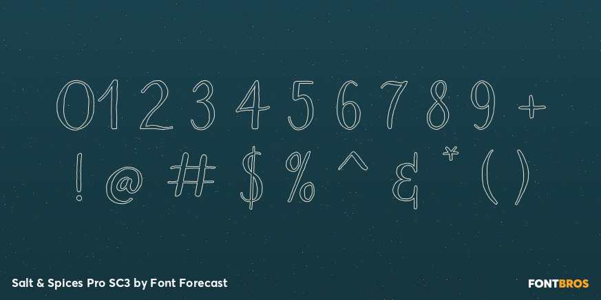 Salt & Spices Pro SC3 Font Poster #4