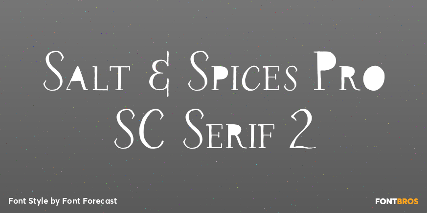 Salt & Spices Pro SC Serif 2 Poster