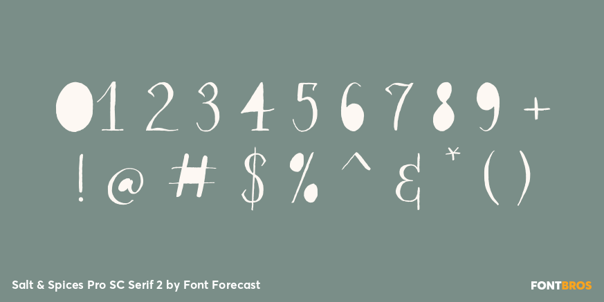 Salt & Spices Pro SC Serif 2 Font Poster #1