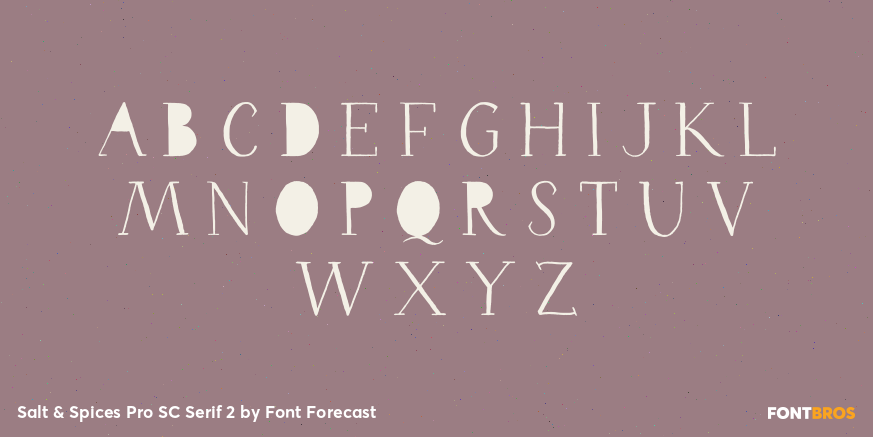 Salt & Spices Pro SC Serif 2 Font Poster #2