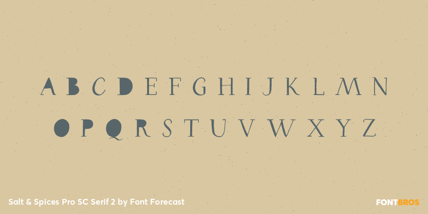 Salt & Spices Pro SC Serif 2 Font Poster #3