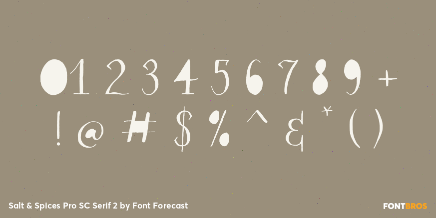 Salt & Spices Pro SC Serif 2 Font Poster #4