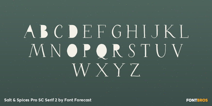 Salt & Spices Pro SC Serif 2 Font Poster #1
