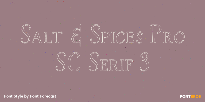 Salt & Spices Pro SC Serif 3 Poster