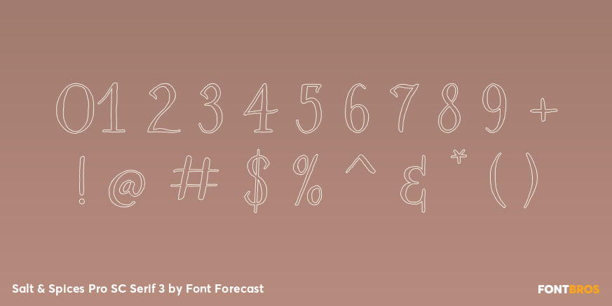 Salt & Spices Pro SC Serif 3 Font Poster #1