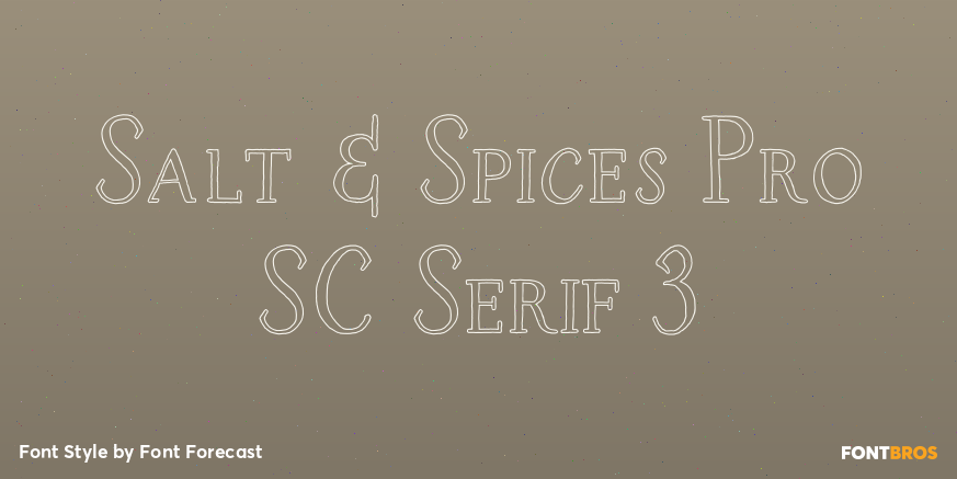 Salt & Spices Pro SC Serif 3 Poster