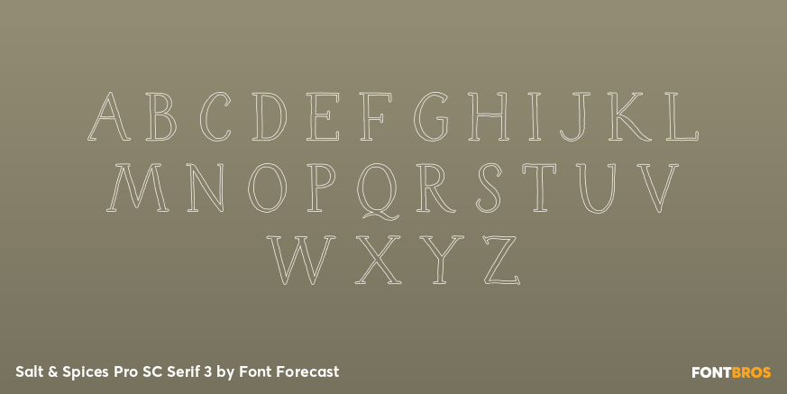 Salt & Spices Pro SC Serif 3 Font Poster #1