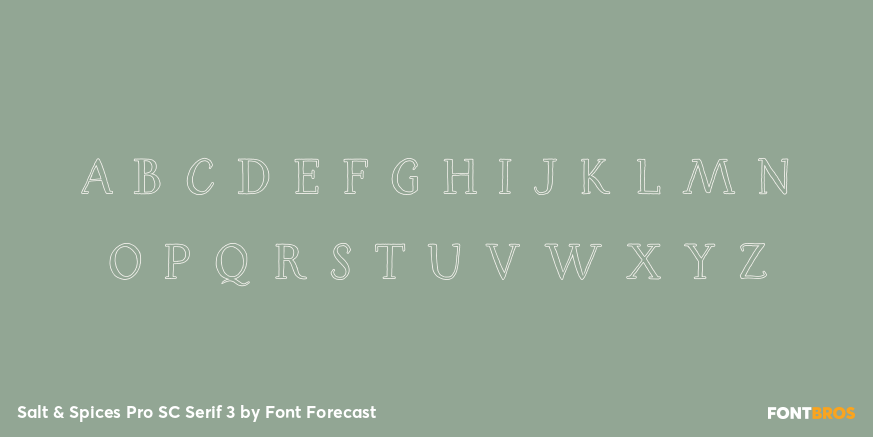 Salt & Spices Pro SC Serif 3 Font Poster #1
