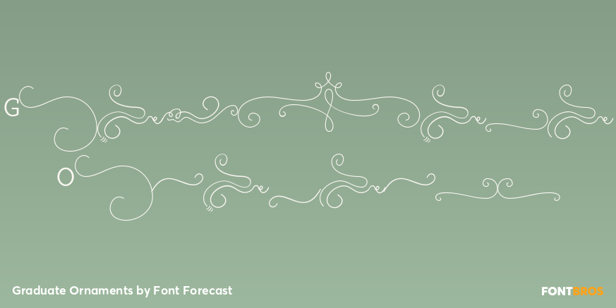 Graduate Ornaments Poster