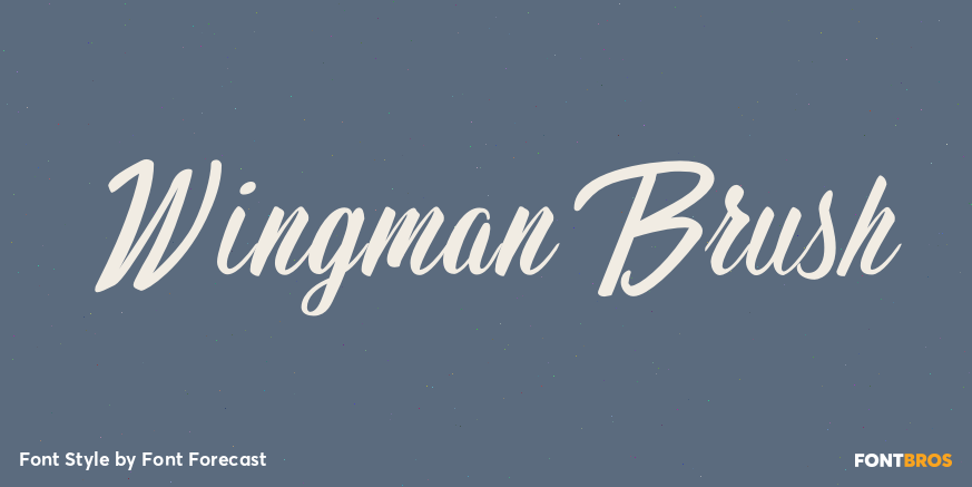 Wingman Brush Poster