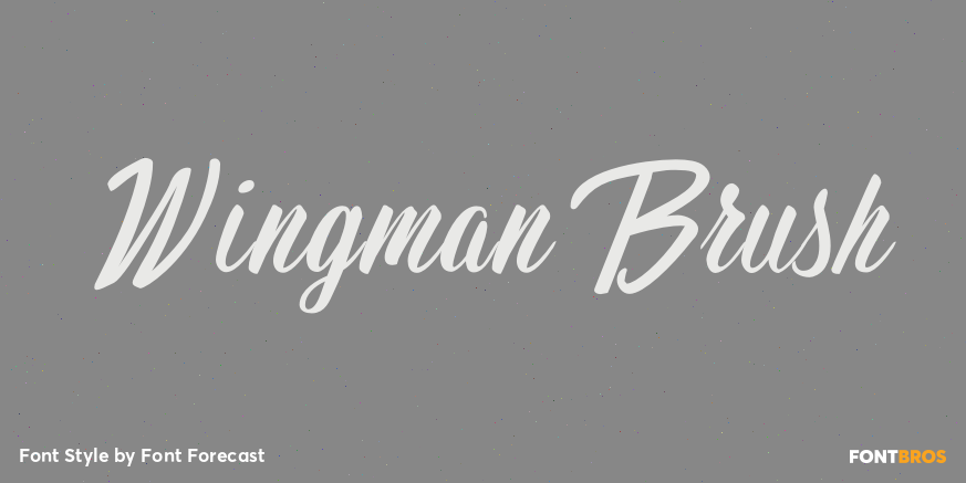 Wingman Brush Poster