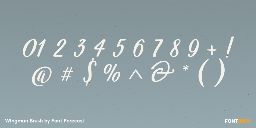 Wingman Brush Font Poster #4