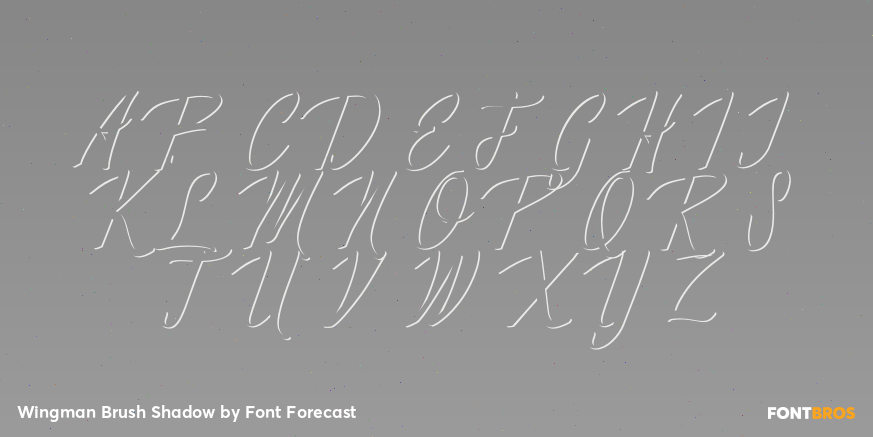 Wingman Brush Shadow Font Poster #2